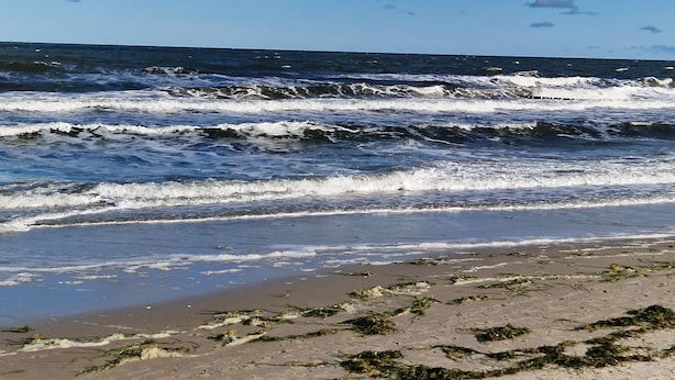 A beach with waves and seaweed on the shore. - BEAUTIFULLY FURNISHED HOLIDAY HOUSE FOR 4 PEOPLE WITH SEPERATE SAUNA HOUSE (Zingst)