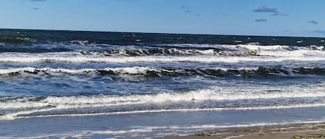 ビーチの近く、サンラウンジャー