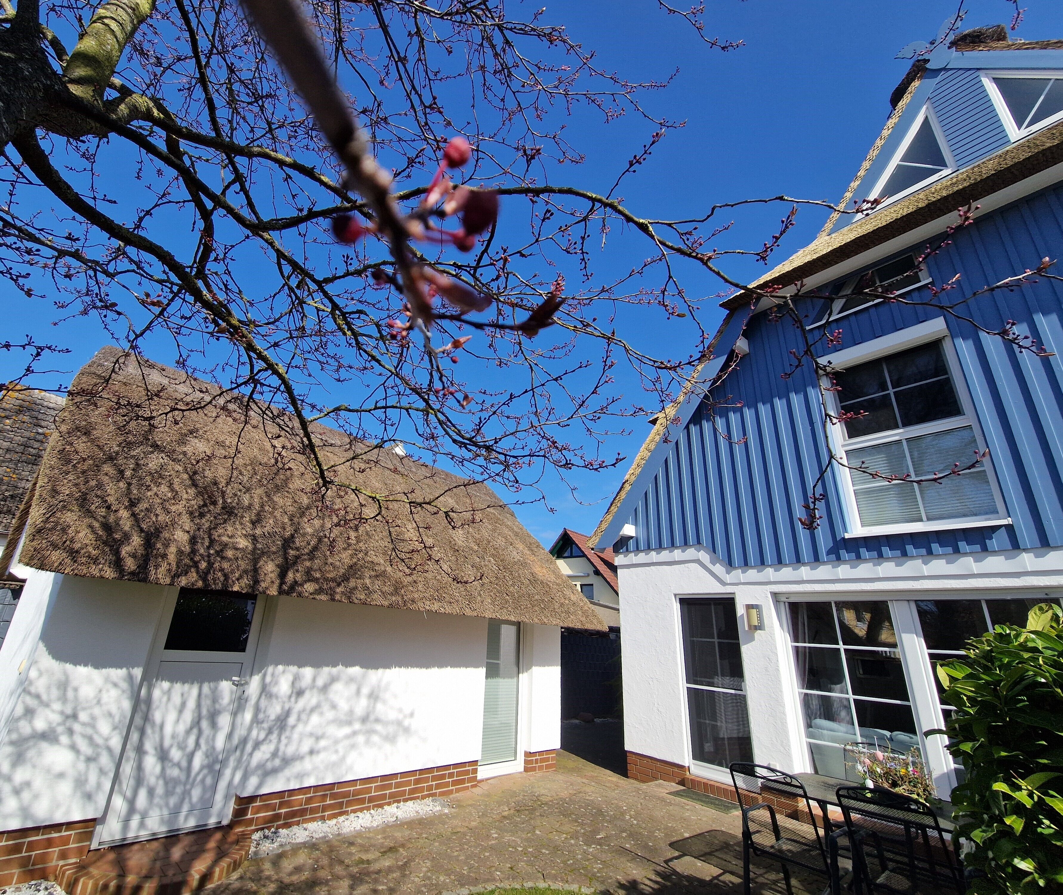 Een gebouw met rieten dak en een witte gevel, een blauw huis met grote ramen, en een heldere blauwe lucht.