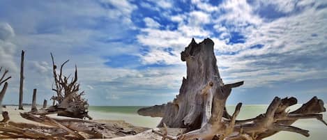 Beach nearby, sun loungers, beach towels