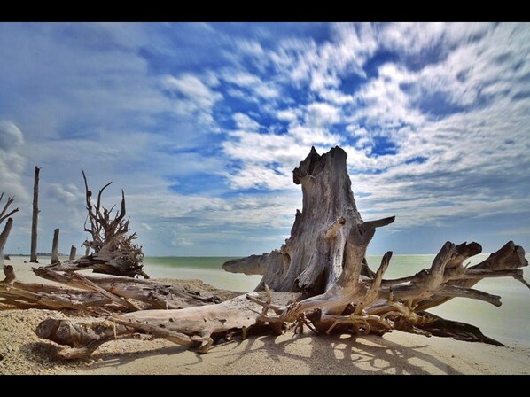 Beach nearby, sun-loungers, beach towels