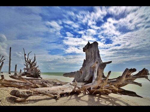 Relax with privacy! Villa in Bonita Springs! Modern, huge pool! 