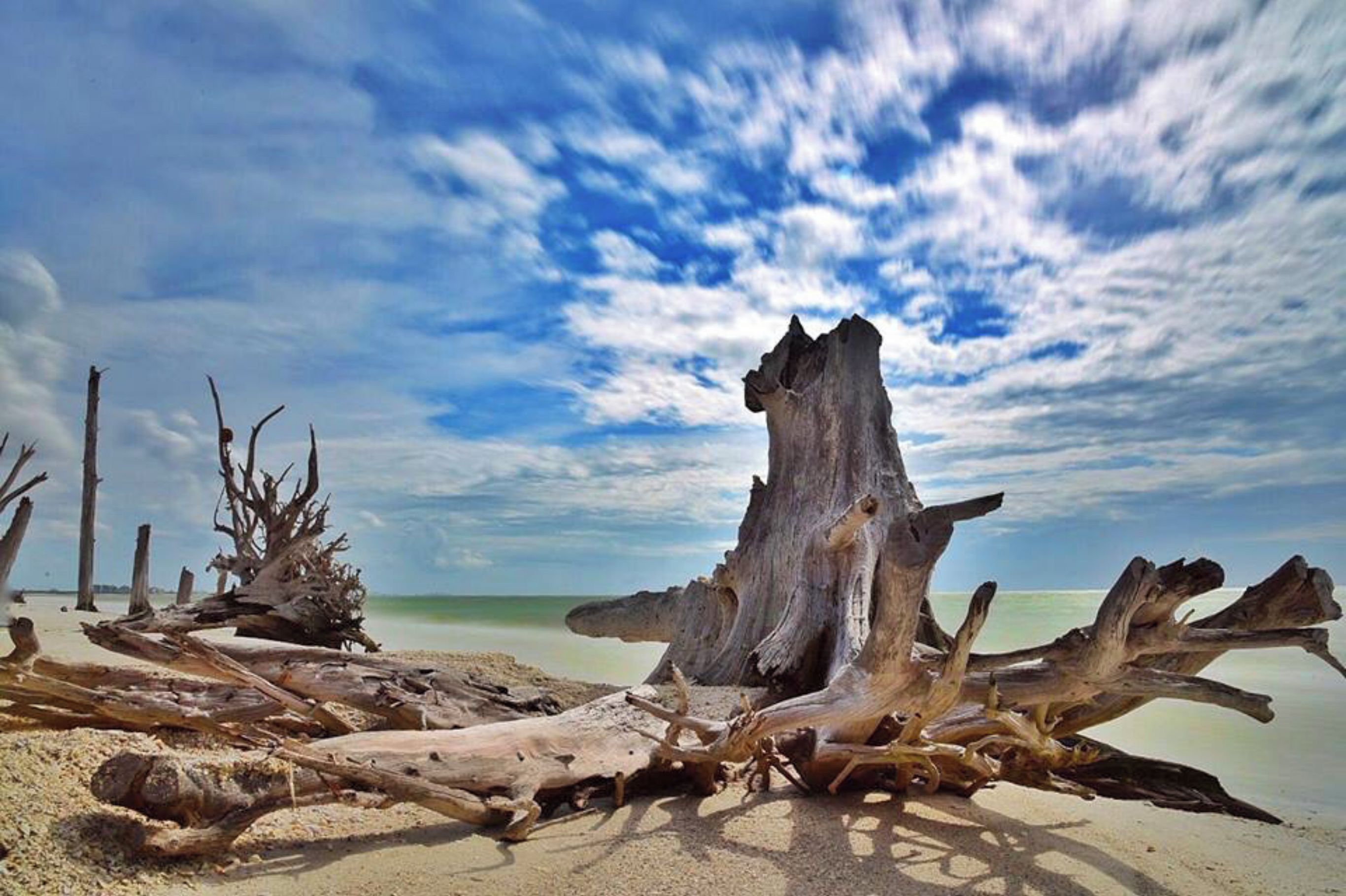 A beach with driftwood and a clear sky.
