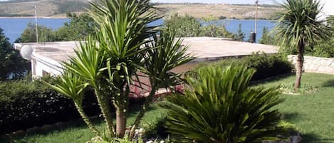 A landscaped garden with palm trees and a view of a lake.