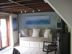 Televisio, takka, DVD-soitin, kirjoja