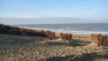 Playa en los alrededores 