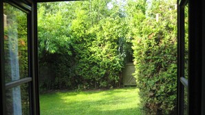 A view through a glass door into a backyard with a grassy lawn, dense foliage, and a wooden gate.