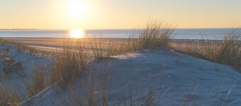 NYTT: Barnevennlig leilighet med takterrasse, sykler og håndkjerre inkl. Mva.