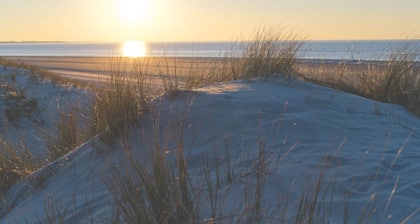 Child-friendly apartment with roof terrace, handcart & lots of toys