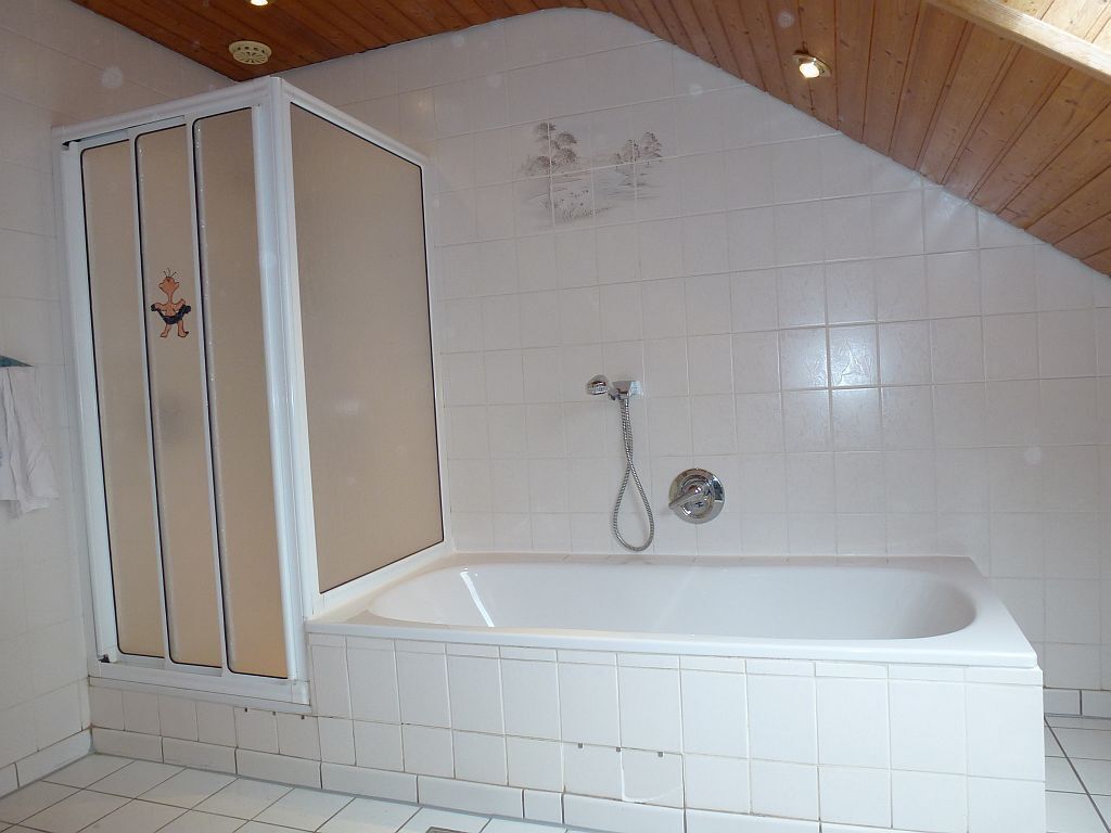 Ensemble douche/baignoire, sèche-cheveux, serviettes fournies