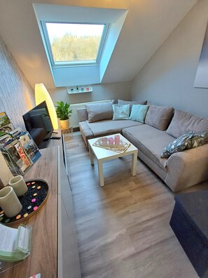 TV, DVD player, books, video library - Saarschleife vacation apartment - quiet, modern accommodation with 3 bedrooms (Mettlach-Bethingen)