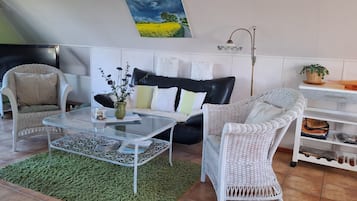 Télévision, cheminée, livres, chaßne hi-fi