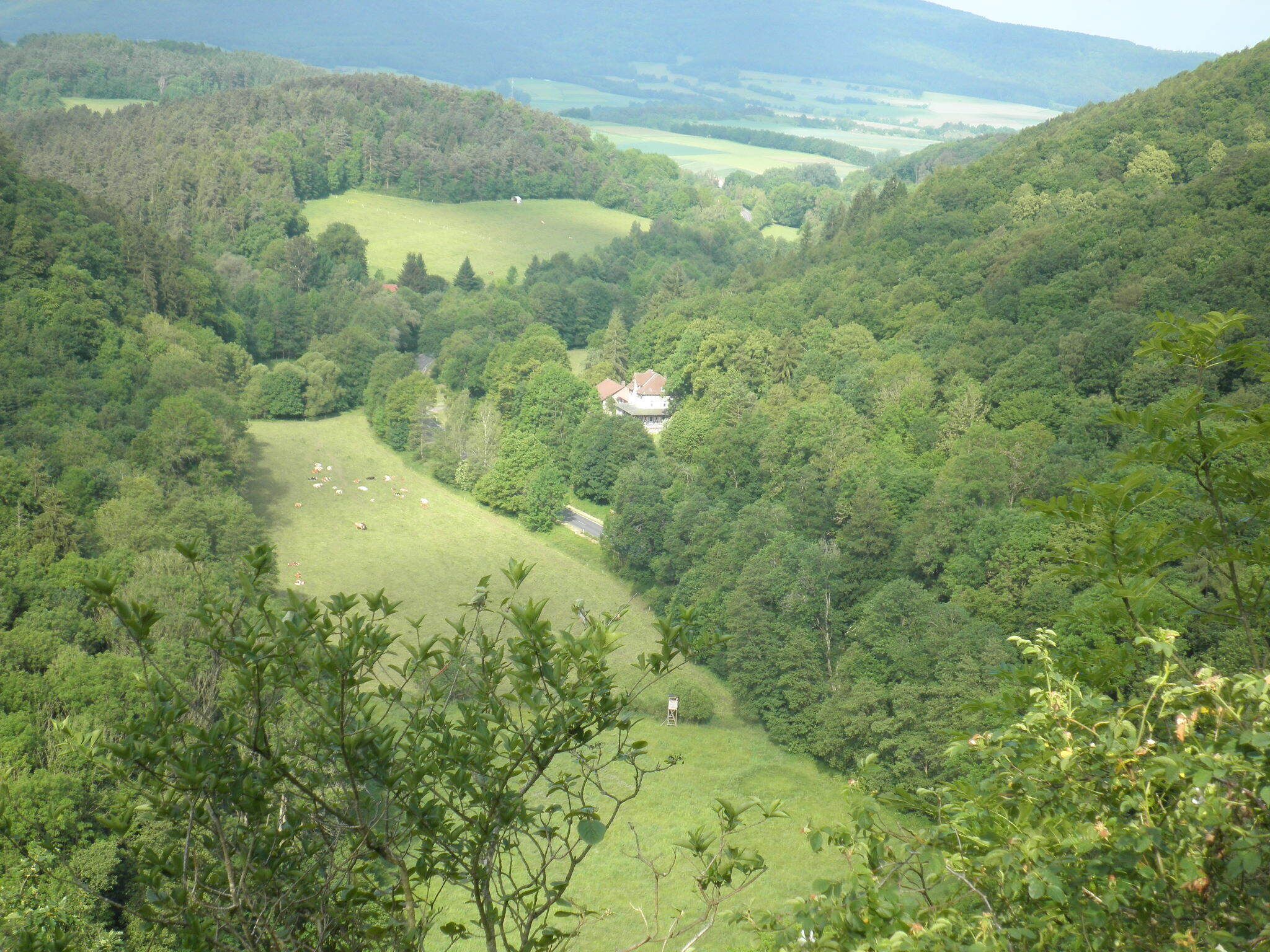 Een landelijk landschap met een huis, omringd door dicht bos en glooiende heuvels.