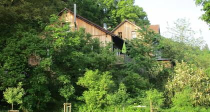 Pure nature: Apartment 'Wildcat' at 'Frau Holle' (Mother Hulda), dogs willk.