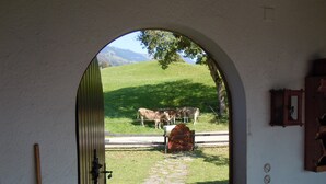 Un arco de entrada que da a una zona verde con vacas pastando.