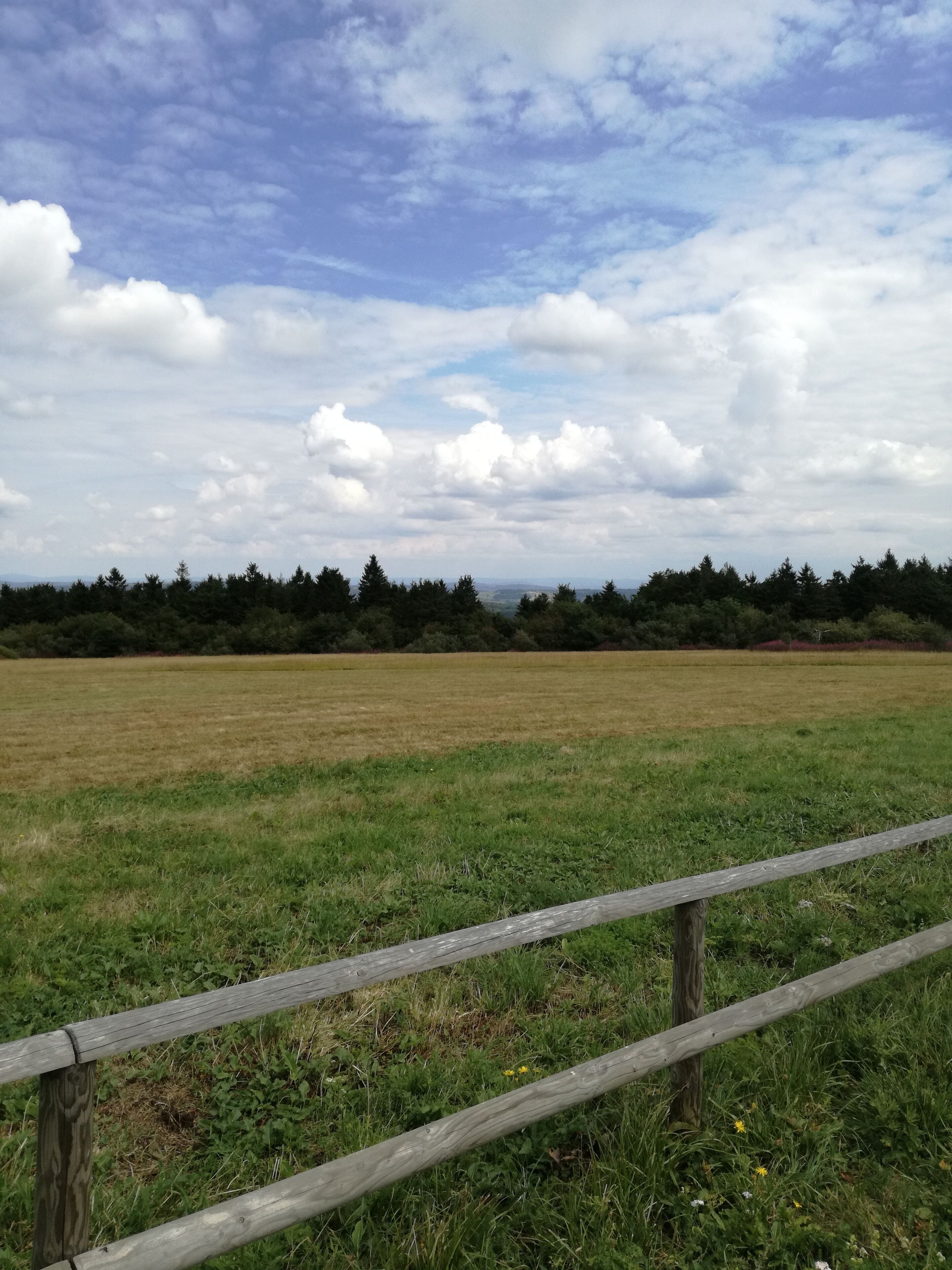 Ein Feld mit einem Holzzaun im Vordergrund und einer Baumreihe im Hintergrund unter einem bewölkten Himmel.