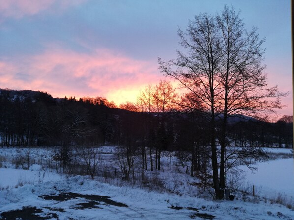 A snowy landscape with a prominent tree in the foreground and a sunset in the background. - Luxurious, spacious **** apartment on a farm - family friendly (Tann (Rhön))