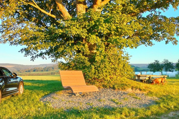 Kugelbaum Dippach/Lahrbach