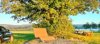 Luxurious, spacious **** apartment on a farm - family friendly