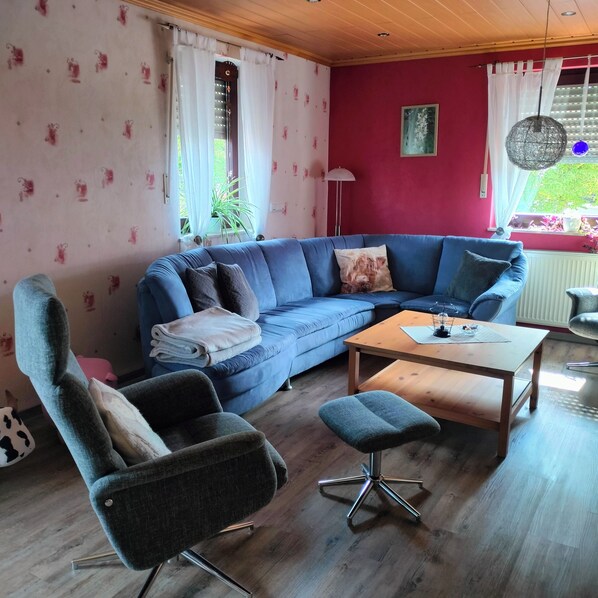 TV, fireplace, DVD player, books