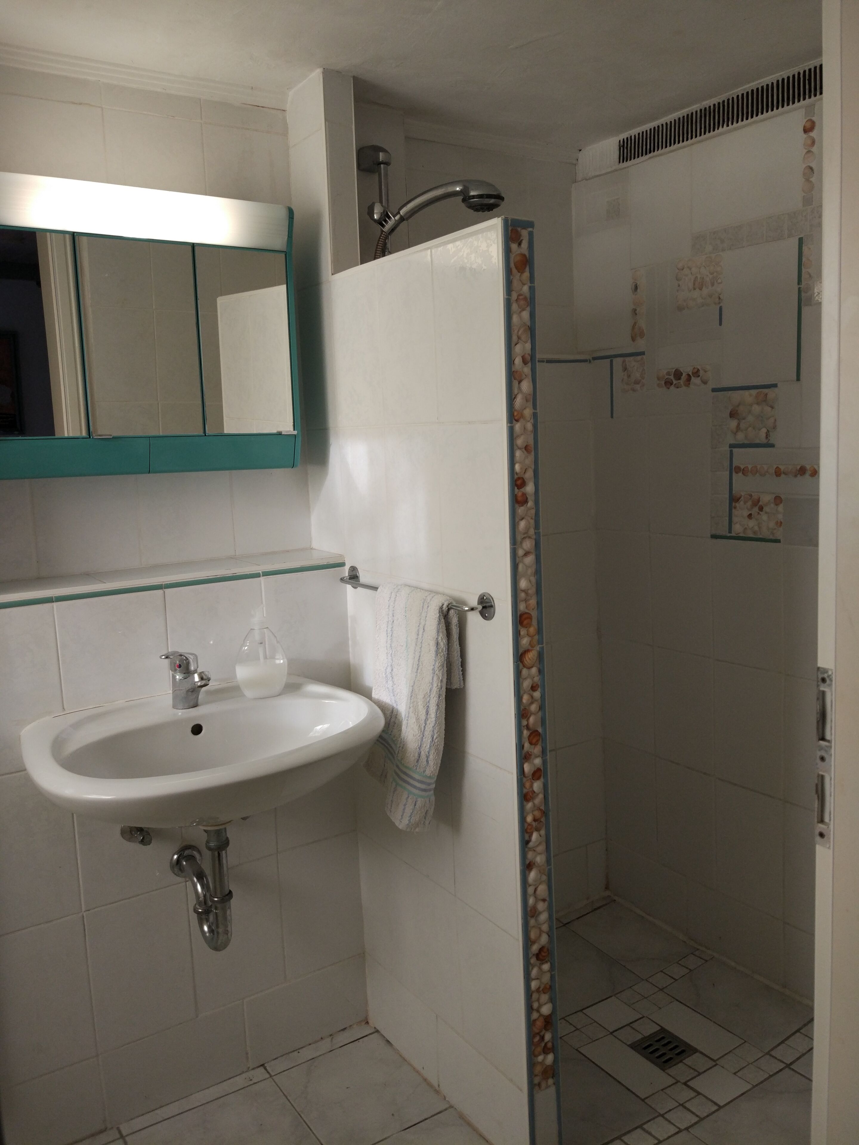 Ein Badezimmer mit Waschbecken, Spiegel und Dusche.