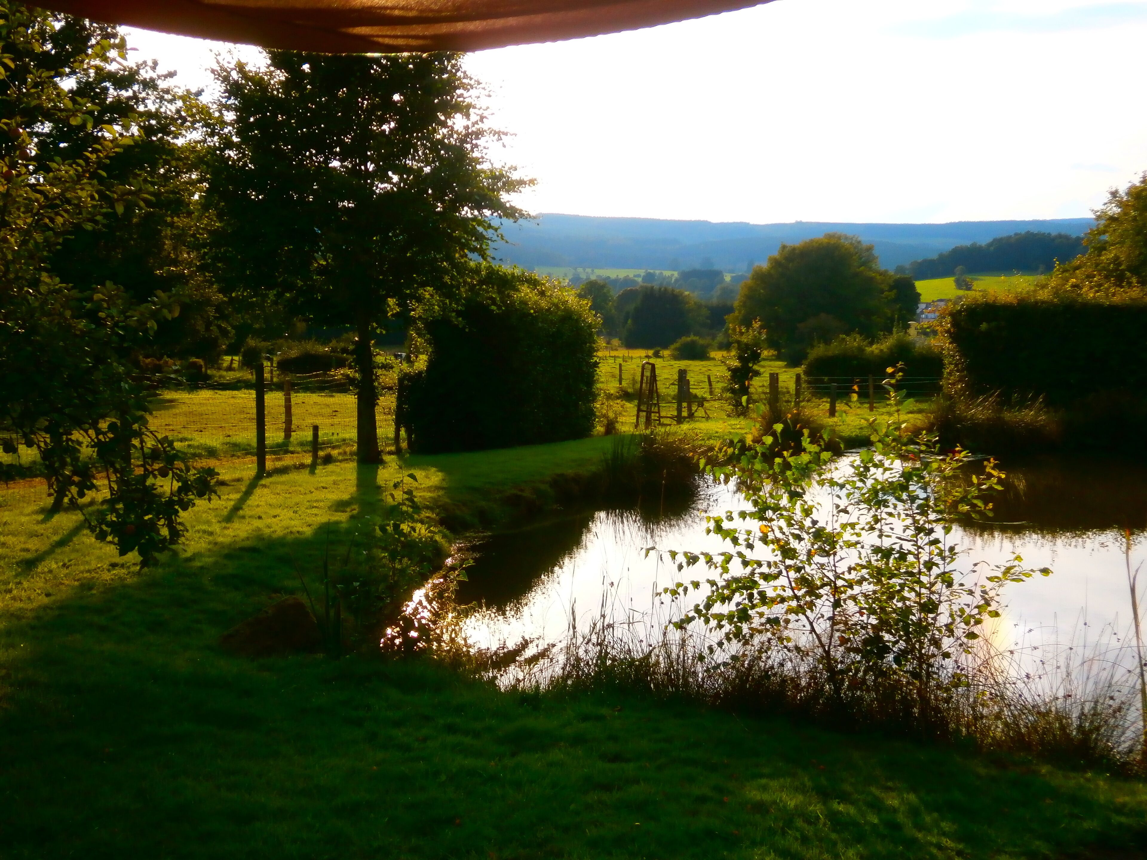 Herliche Aussicht von der Terasse am Teich 