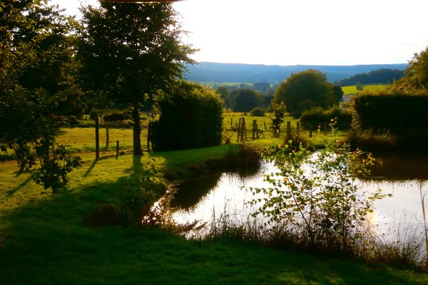 Herliche Aussicht von der Terasse am Teich