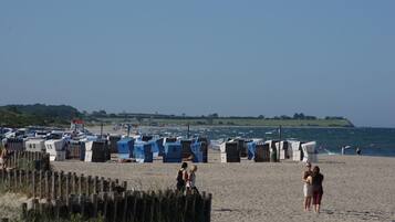 Beachside huts offer sheltered spaces for beachgoers.