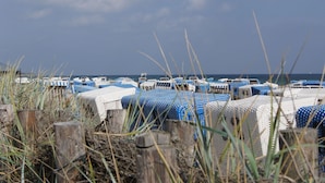 A beach with rows of blue and white beach chairs and umbrellas, wooden barriers, and a clear sky. - Log house with large garden - WiFi included - only 5 minutes to the beach  (Ostseebad Damp)