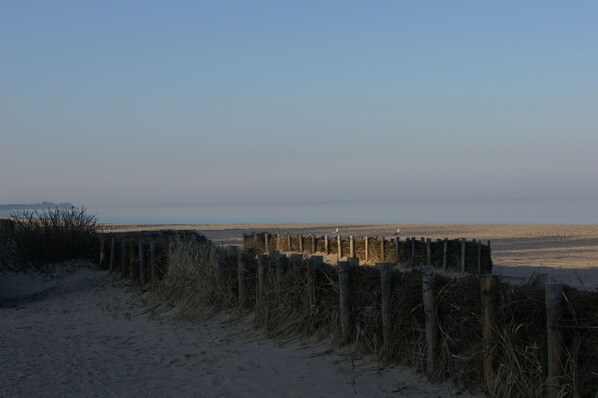A sandy beach with a wooden fence and a bird in the distance.