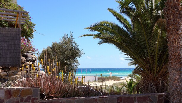 A beach view with a stone wall, palm trees, and a clear blue sky. - Beautiful apartment in the nature reserve "Risco del Paso" ideal for nature lovers (Costa Calma)