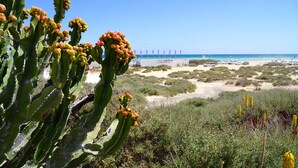 A beach with cacti and sparse vegetation, a sandy area with parked cars, and a clear blue sky. - Beautiful apartment in the nature reserve "Risco del Paso" ideal for nature lovers (Costa Calma)