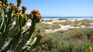 Playa en los alrededores y camastros 