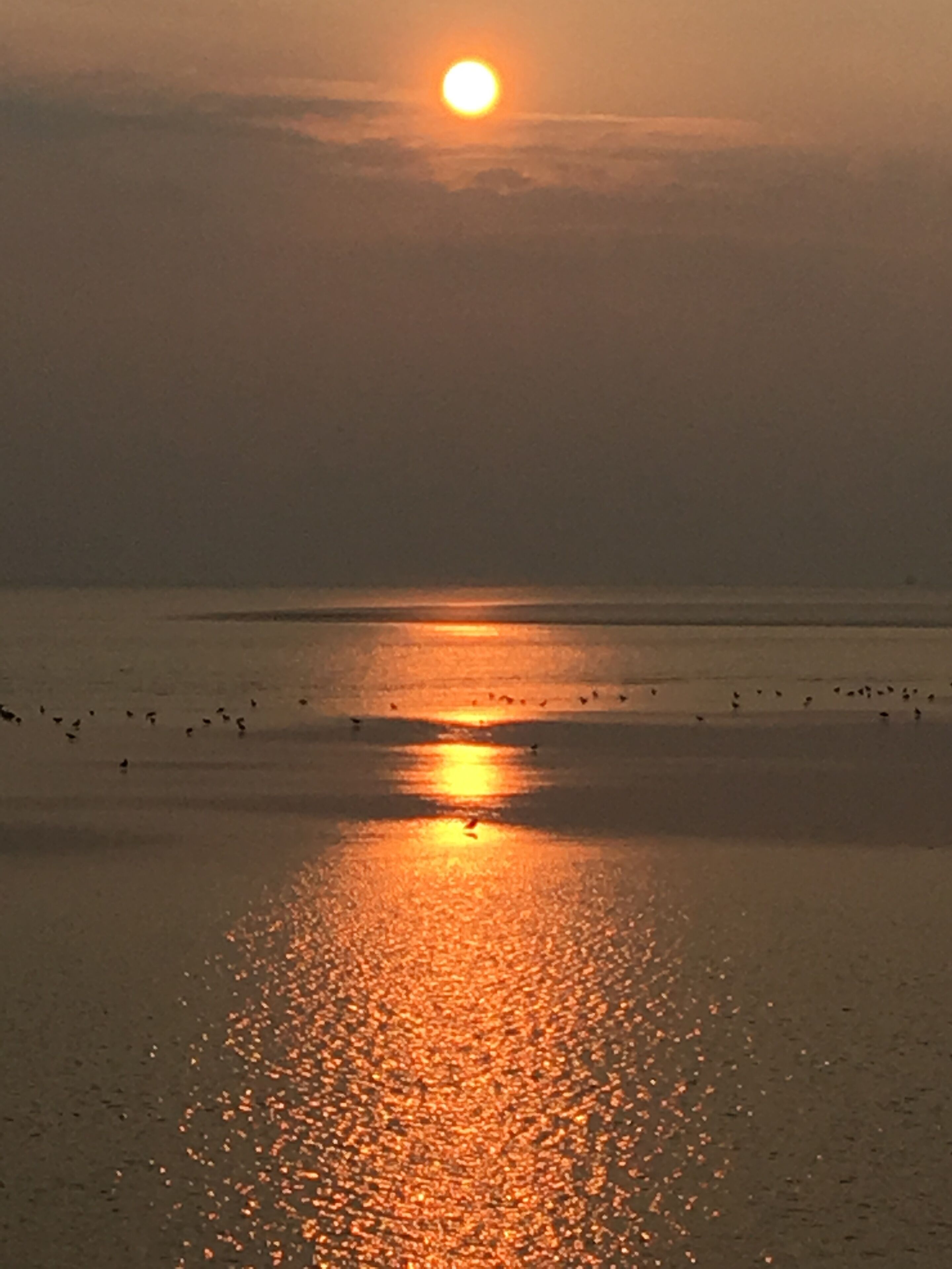 Ubicación cercana a la playa