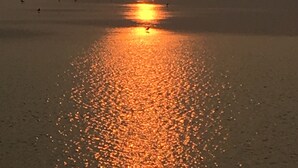 Escena de playa con el sol reflejándose en el agua, creando un sendero brillante en la arena.