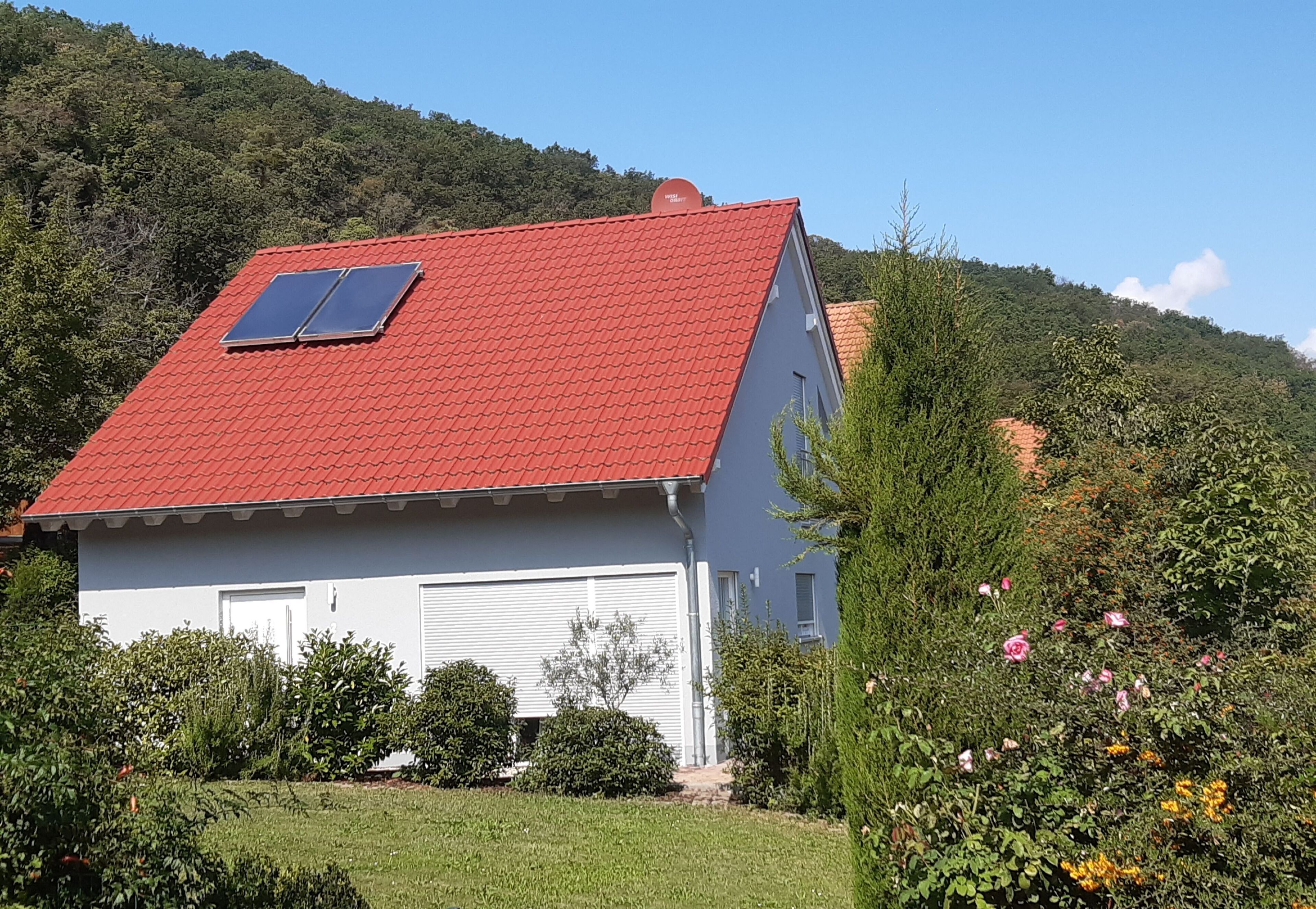 New cottage between forest and vineyards at Freinsheim