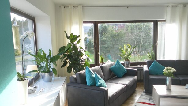 A modern living room with a grey sofa, teal cushions, and a coffee table. There are potted plants on a side table and a large window with a view of greenery outside. - Welcome Holiday home Schmitz No. 2, for 2 to 4 people.  with Wi-Fi (Pünderich/Mosel)