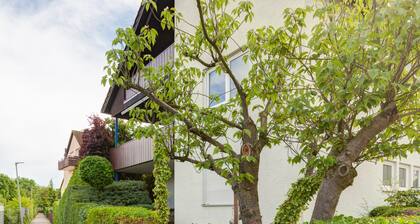 Apartment with a View – modern living above the rooftops