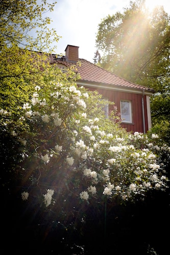 Natural idyll on the edge of the forest - family-friendly and quiet