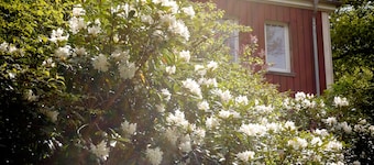 Natural idyll on the edge of the forest - family-friendly and quiet