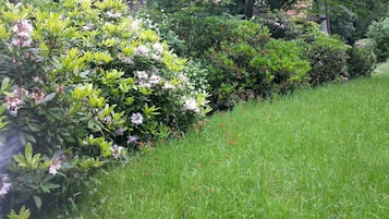 住宿场地