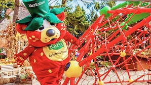 A red bear mascot with a green hat and a badge labeled "Karlsruhe 1921." - 1st beach row Kaiserallee incl. WLAN, 2 bicycles, beach chair package possible (Lübeck)