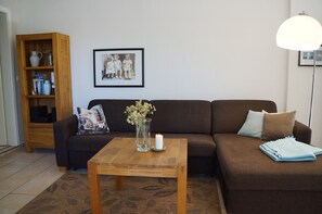 TV, fireplace, DVD player, books