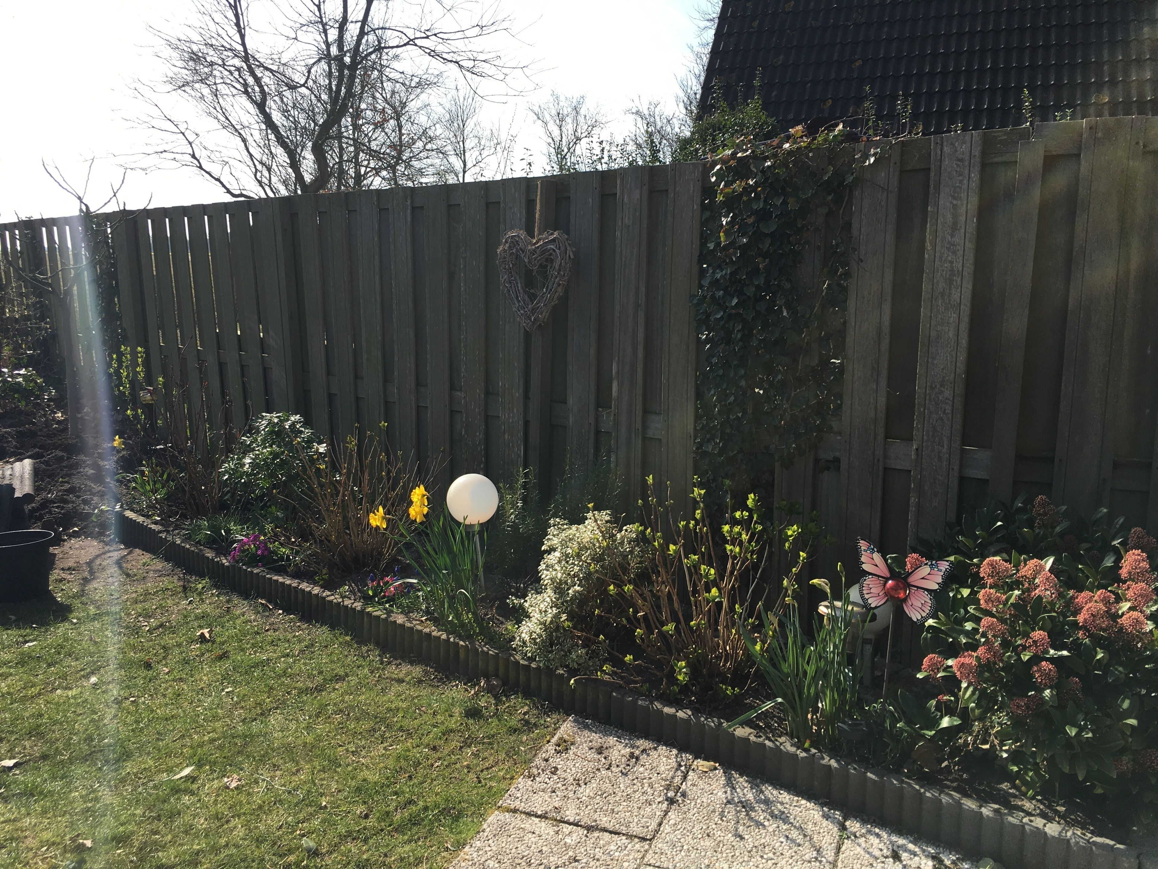 Ein Garten mit Holzzaun, verschiedenen Pflanzen und einem kugelförmigen Objekt.
