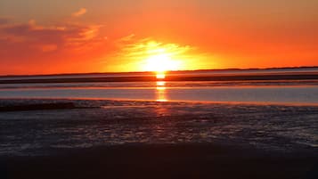 Vlak bij het strand