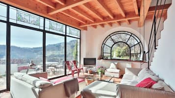 Televisión, chimenea, reproductor de DVD y tenis de mesa