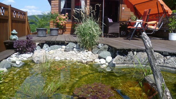 A wooden house with a deck, a pond with rocks and aquatic plants, and outdoor furniture.