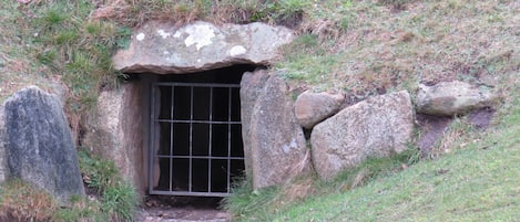 Terrain de l’hébergement 