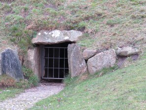 A stone entrance with a metal gate, surrounded by rocks and grass.