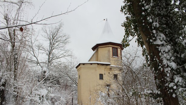 A snow-covered tower with a conical roof, surrounded by leafless trees and bushes. - Apartment on Bardili mountain (Bad Urach)